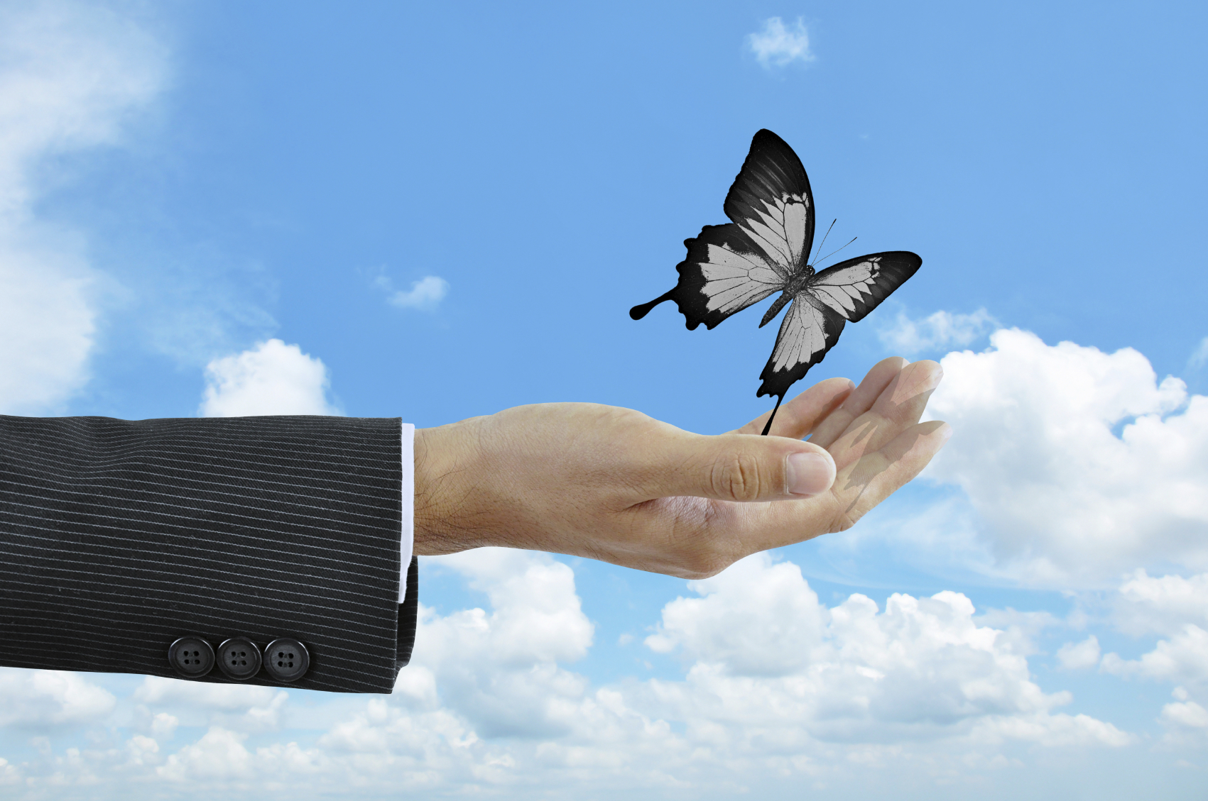 FUNERAL PLANNER TO SHAKE UP THE INDUSTRY